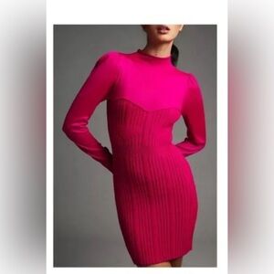 Anthropologie Turtleneck Sweater dress